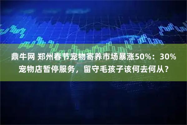 鼎牛网 郑州春节宠物寄养市场暴涨50%：30%宠物店暂停服务，留守毛孩子该何去何从？