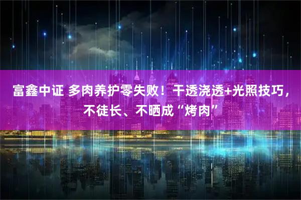 富鑫中证 多肉养护零失败！干透浇透+光照技巧，不徒长、不晒成“烤肉”